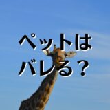 ペット可物件の探し方。賃貸でペット飼育がバレたらどうなる？を解説